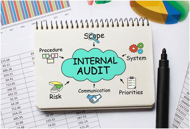 internal audit elements
