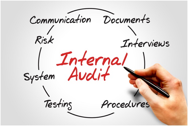internal audit process flow